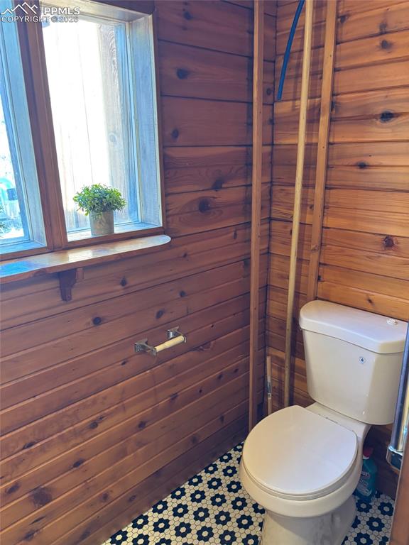 3800 Doe Valley Road Guffey, CO 80820 - Photo 30 of 43 a bathroom with a toilet and a shower curtain