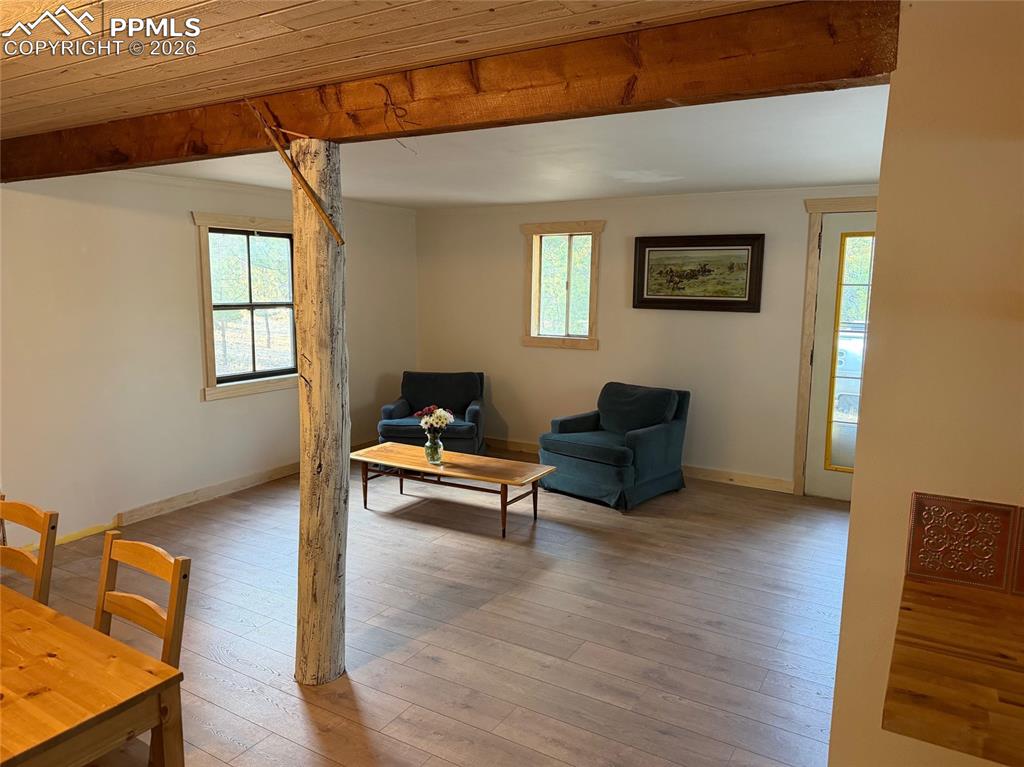 3800 Doe Valley Road Guffey, CO 80820 - Photo 31 of 43 a living room with furniture and a wooden floor