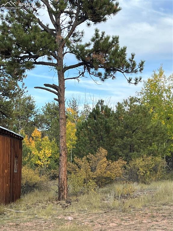3800 Doe Valley Road Guffey, CO 80820 - Photo 33 of 43 a view of lake view with mountain