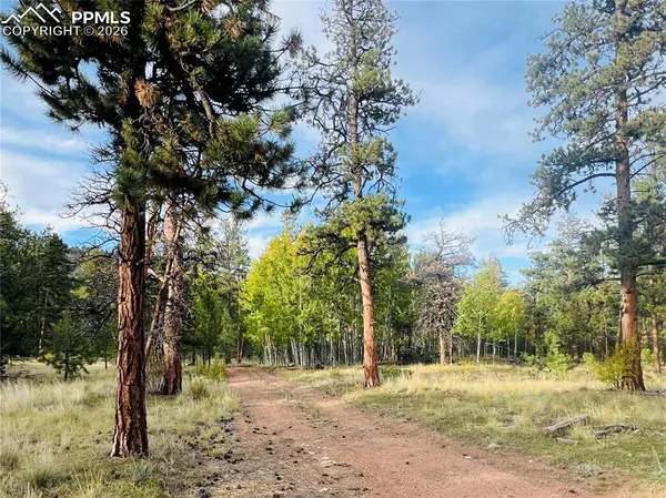 a view of dirt yard with trees
