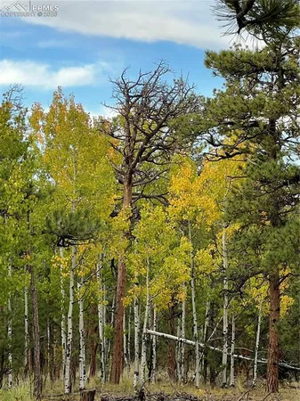 $499,000 | 3800 Doe Valley Road, Guffey, CO 80820