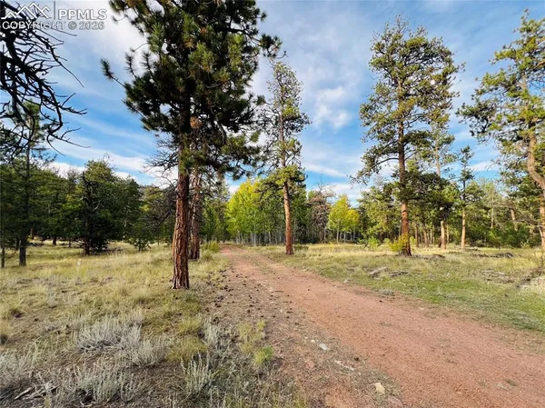 $499,000 | 3800 Doe Valley Road, Guffey, CO 80820