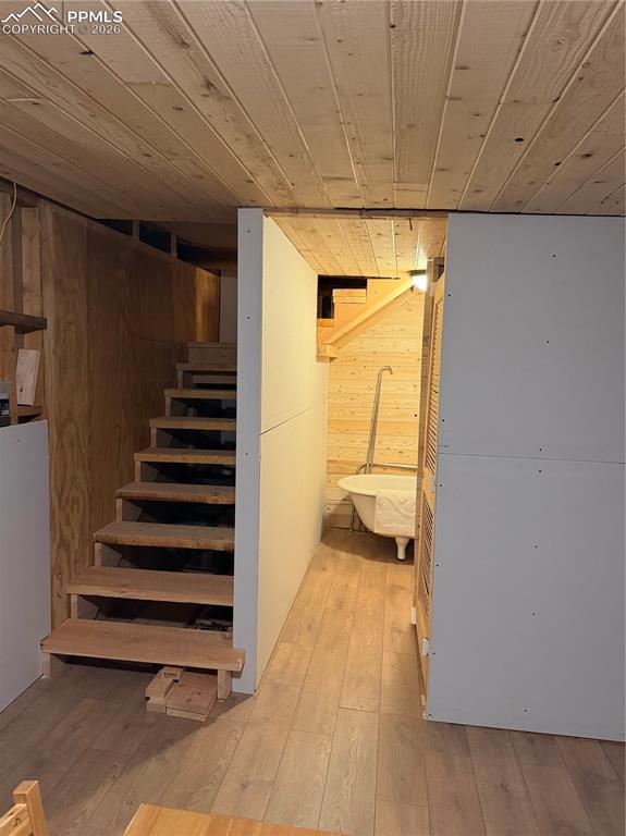 3800 Doe Valley Road Guffey, CO 80820 - Photo 43 of 43 a view of entryway with wooden floor and a rug