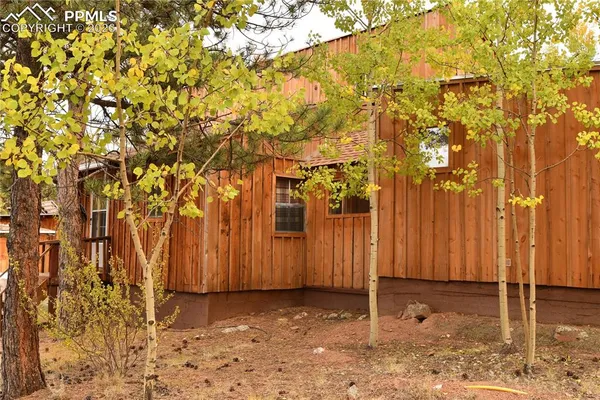 a backyard of a house with a tree
