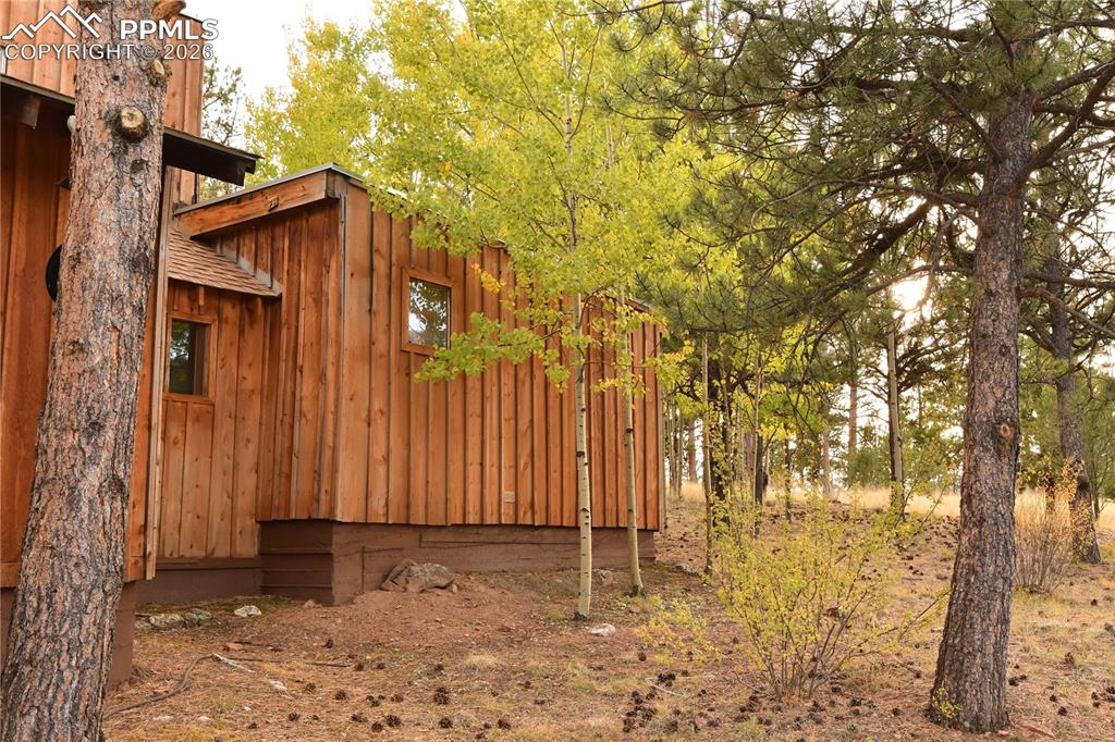 3800 Doe Valley Road Guffey, CO 80820 - Photo 6 of 43 a backyard of a house with a tree