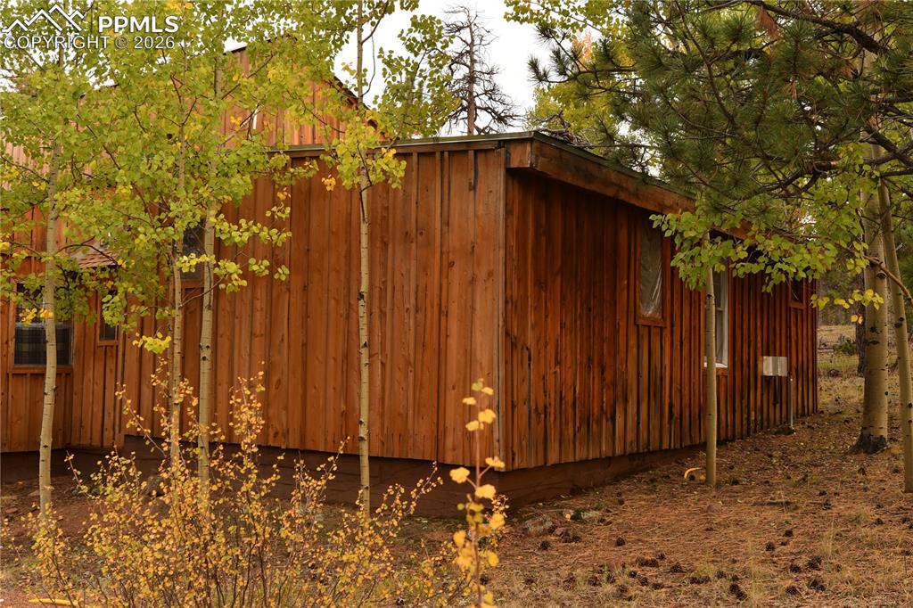 3800 Doe Valley Road Guffey, CO 80820 - Photo 7 of 43 a backyard of a house with lots of green space