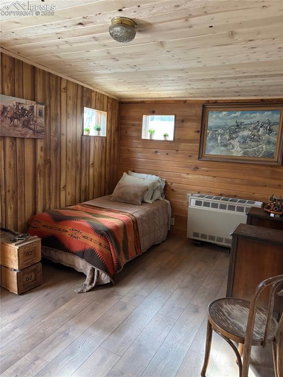 3800 Doe Valley Road Guffey, CO 80820 - Photo 10 of 43 a bedroom with a bed and wooden floor