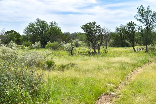 a view of yard with green space
