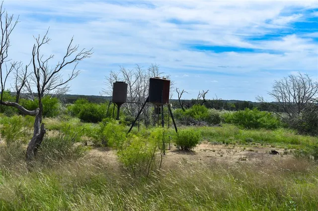 a view of yard with green space
