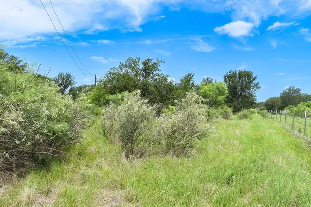 a view of a big yard with large trees