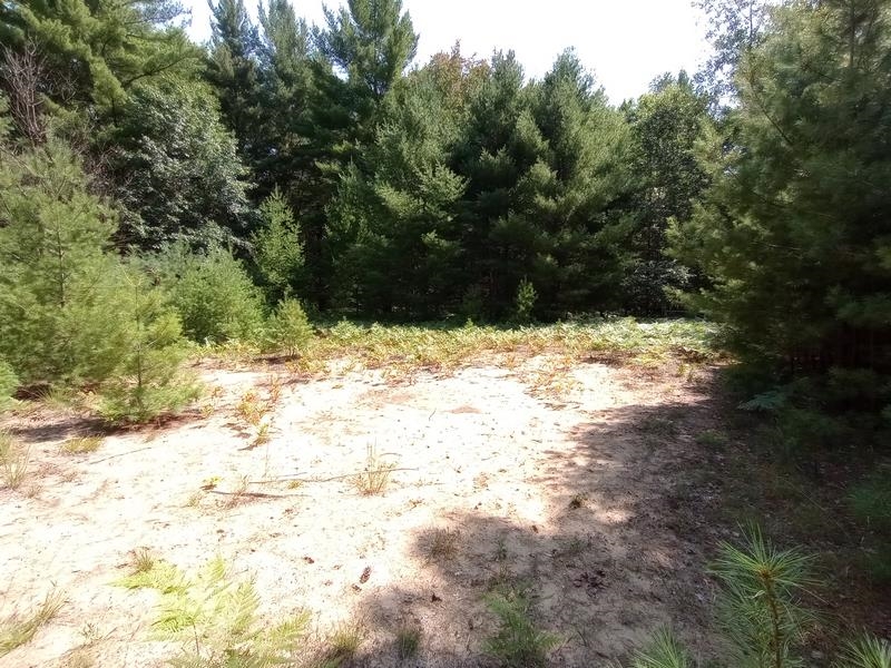1305 Wieman Road Gladwin, MI 48624 - Photo 20 of 33
