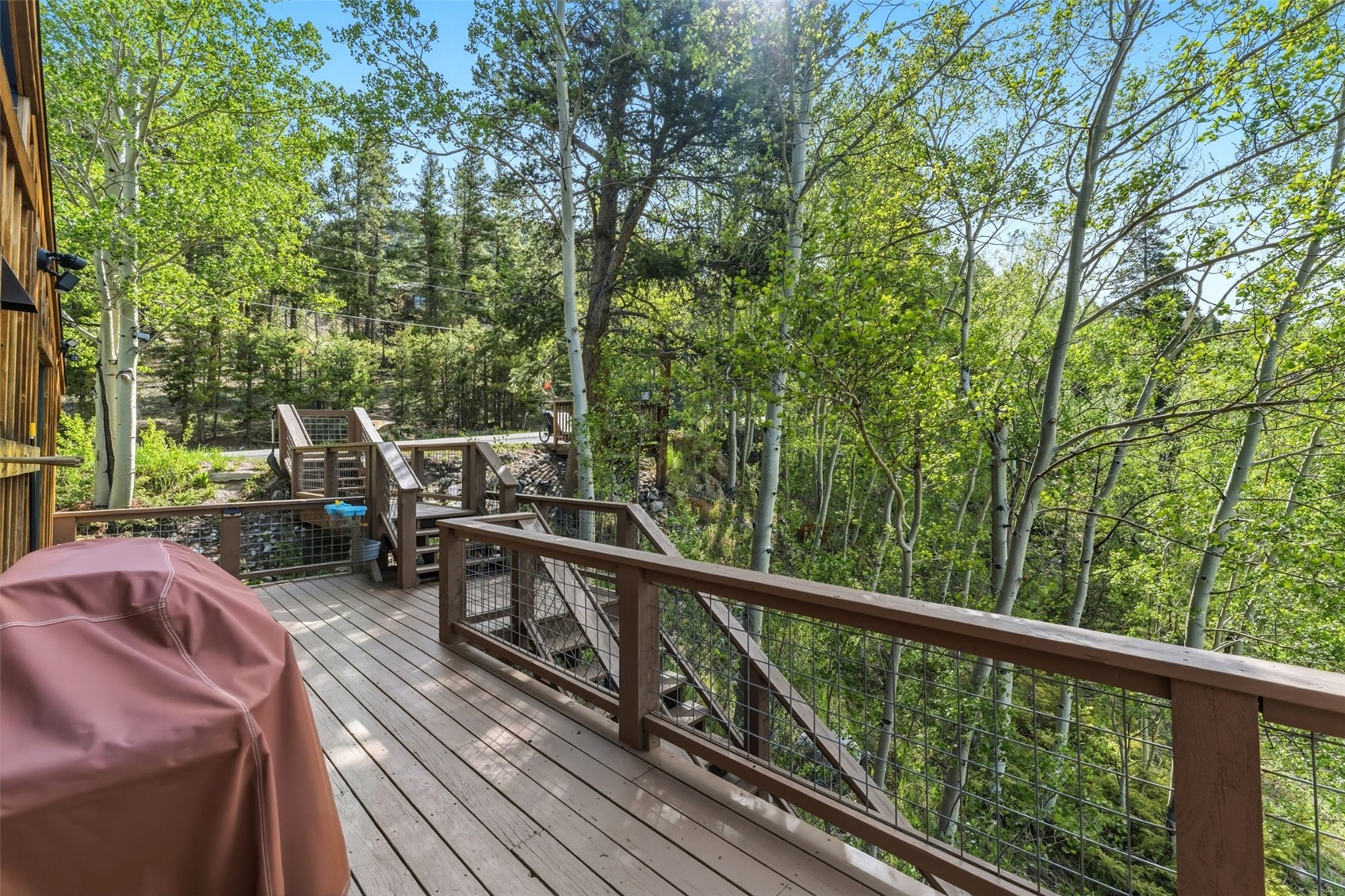 178 Indiana Creek Road Breckenridge, CO 80424 - Photo 40 of 50