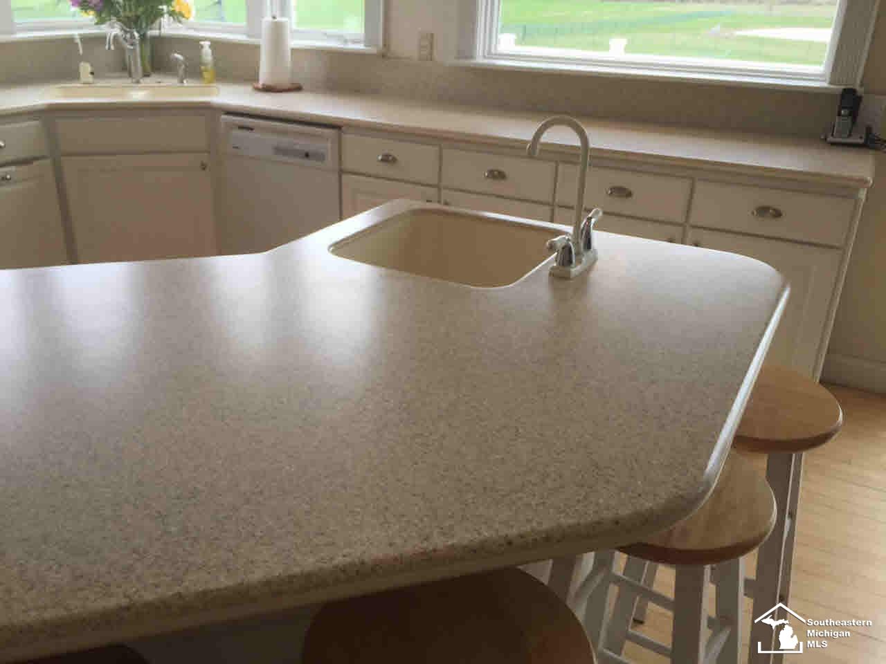 12603 Todd Road Ida, MI 48140 - Photo 11 of 31 Vegetable Sink