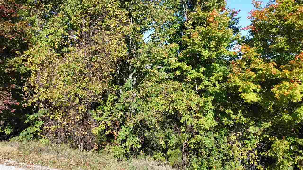 0 Palaestrum Road Williamsburg, MI 49690 - Photo 17 of 17