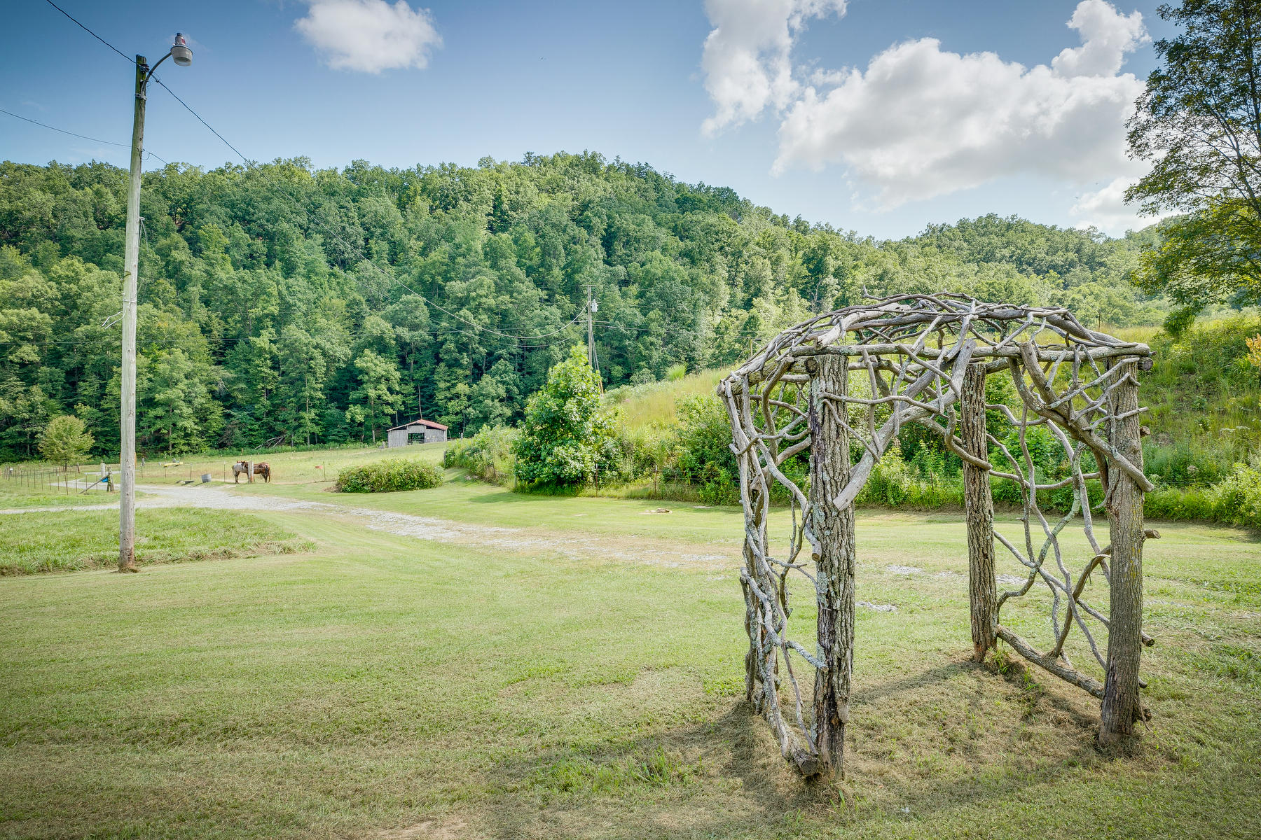 1065 Snowflake Road Surgoinsville, TN 37873 - Photo 4 of 48 004