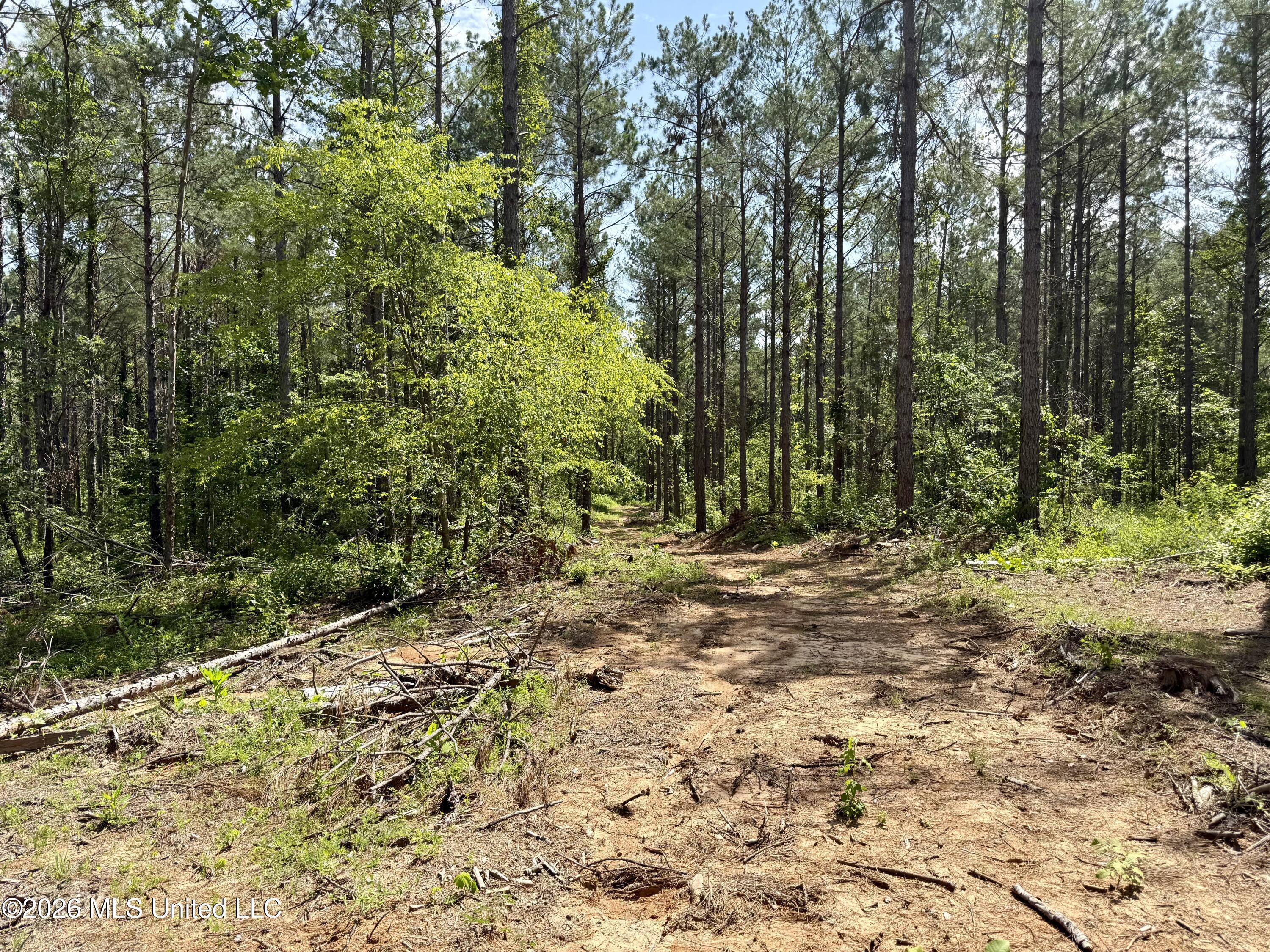 828 Little Egypt Road Ashland, MS 38603 - Photo 91 of 101 Photo Jun 30 2026, 10 51 08 AM