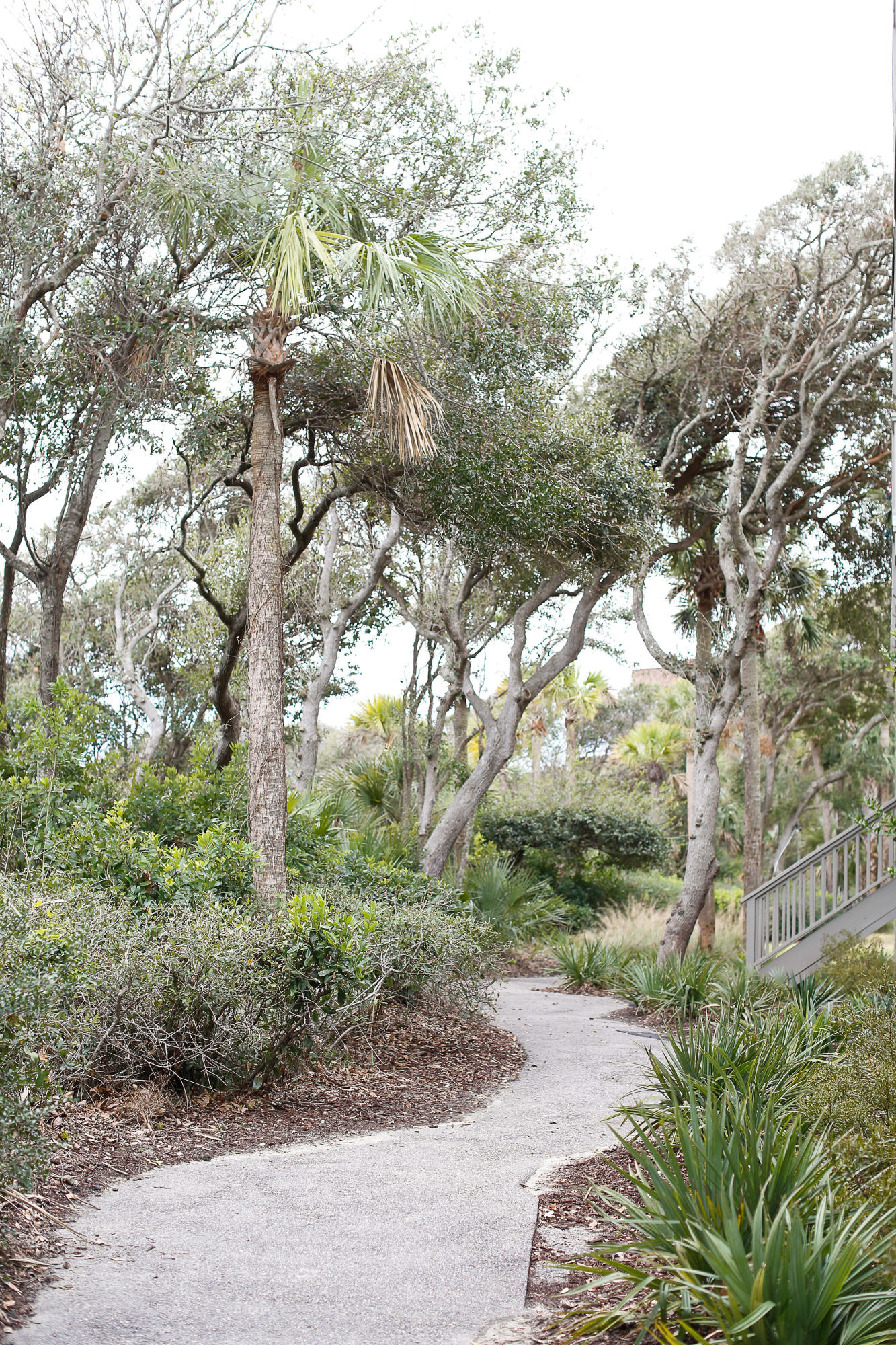 3579 Shipwatch Road Kiawah Island, SC 29455 - Photo 35 of 40 30