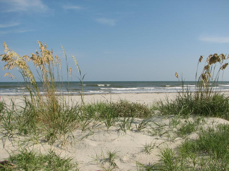 3579 Shipwatch Road Kiawah Island, SC 29455 - Photo 37 of 40 IMG_3488e