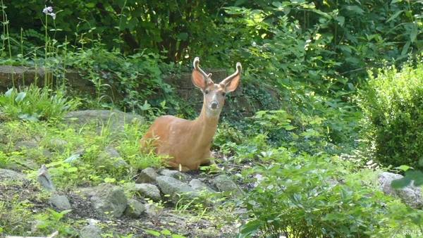 $345,000 | 353 Harvard Terrace, Frankfort, IN 46041