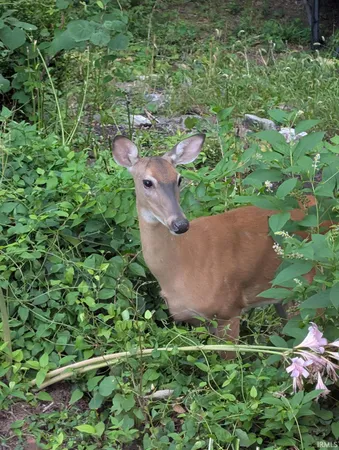 $345,000 | 353 Harvard Terrace, Frankfort, IN 46041