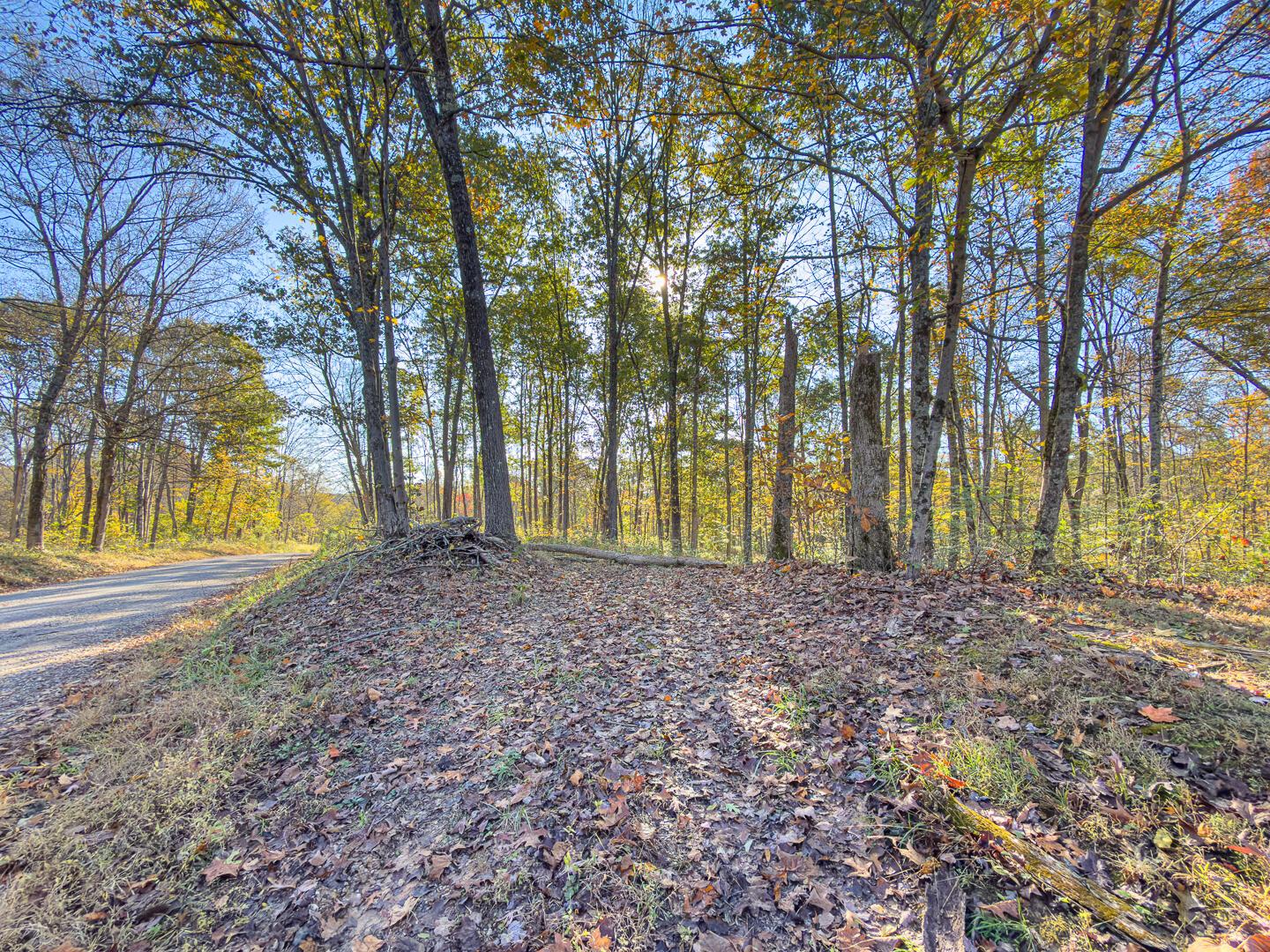 0 Chase Road Albany, OH 45710 - Photo 10 of 37 Chase Rd-10