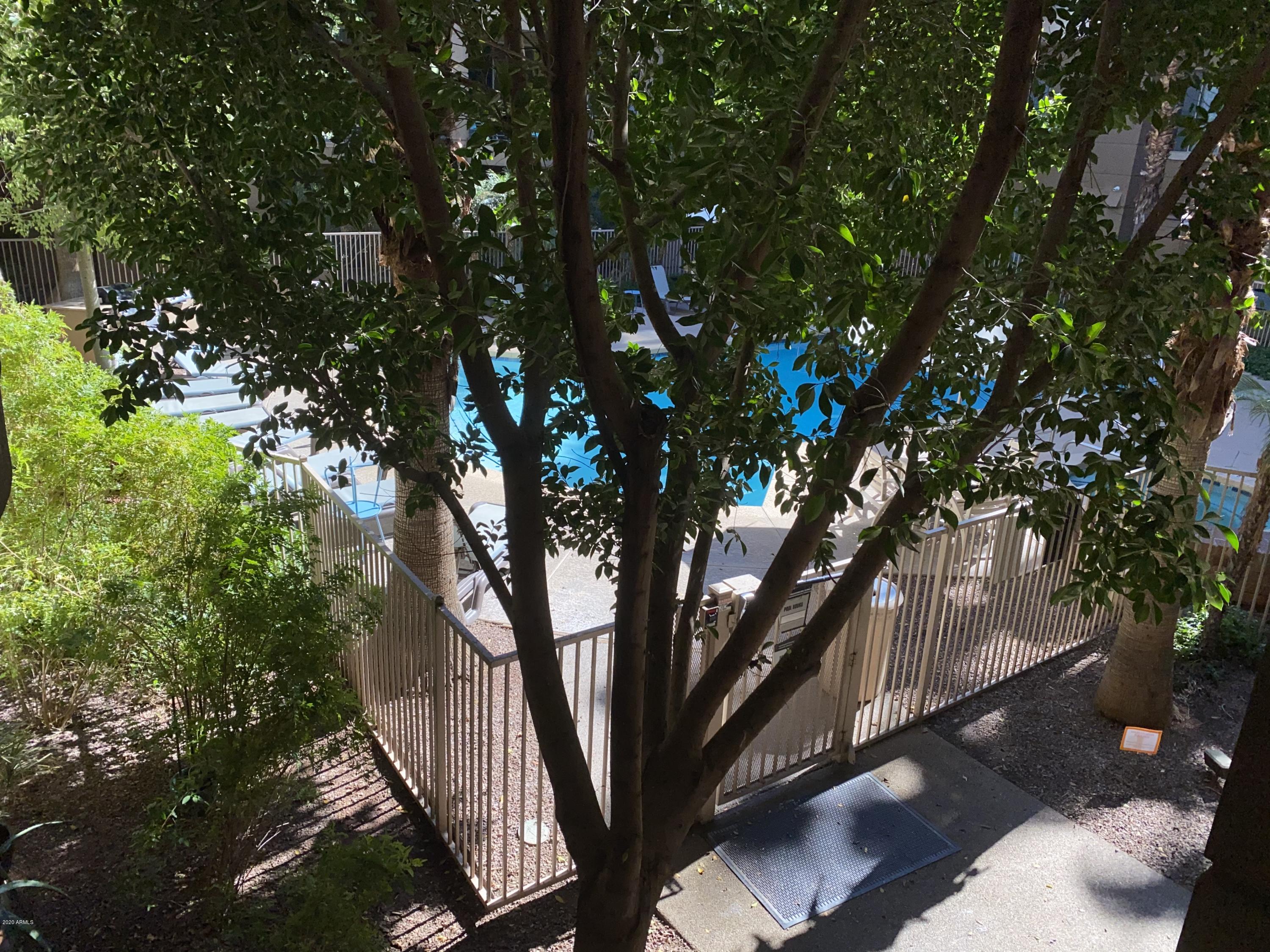 1701 East Colter Street, Unit 263 Phoenix, AZ 85016 - Photo 16 of 18