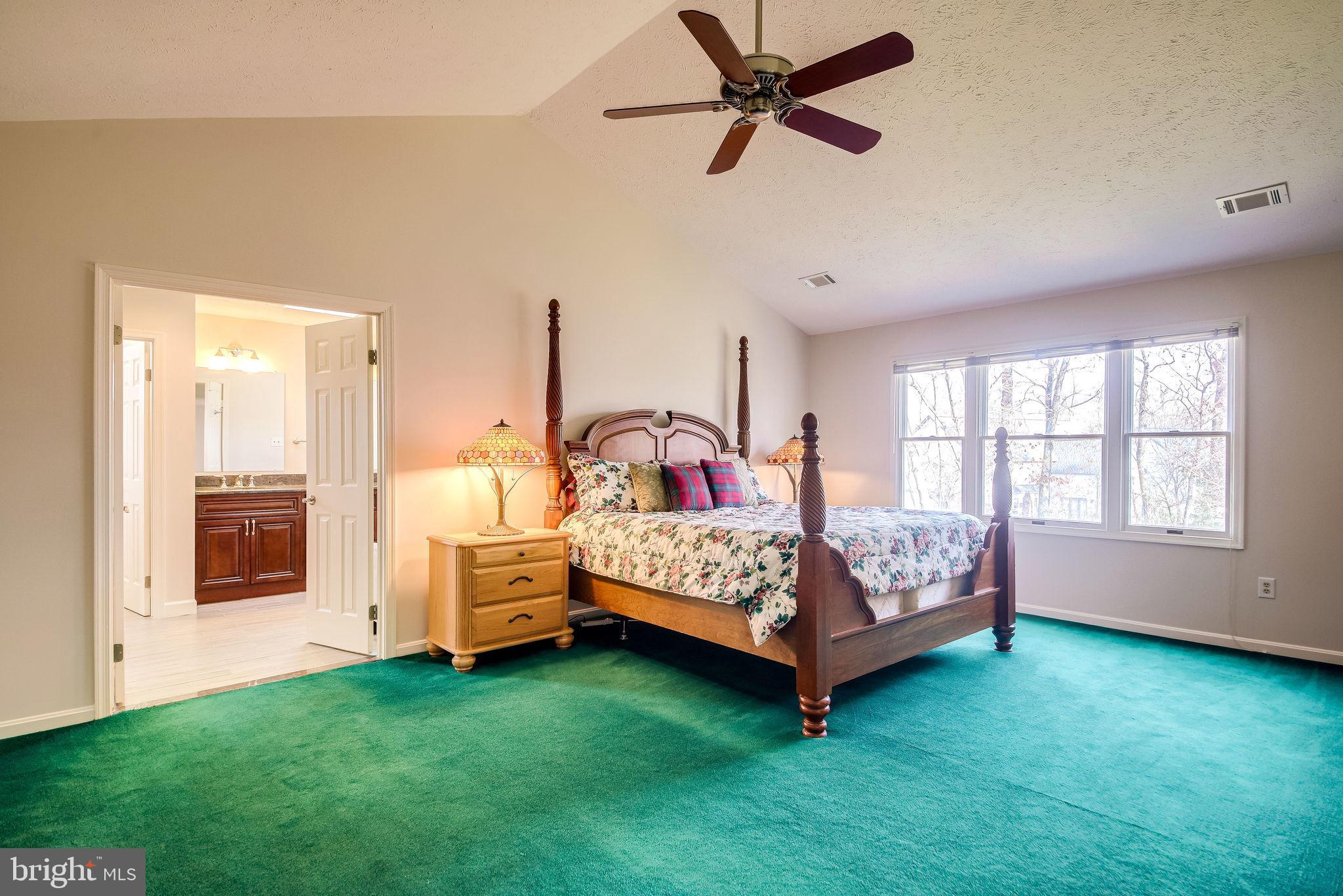 58 Rutherford Circle Sterling, VA 20165 - Photo 21 of 51 Primary bedroom has vaulted ceilings
