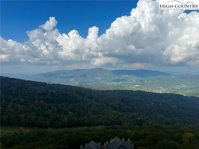 a view of a lake in middle of forest