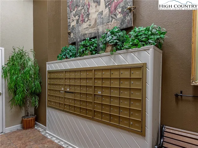 a view of a wooden door and potted plant