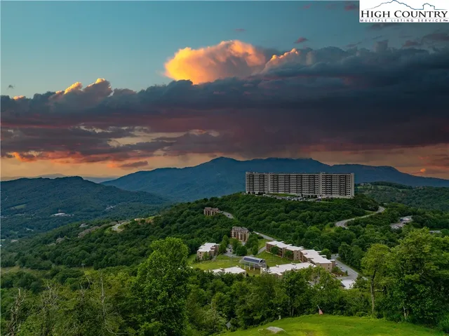 a view of a house with a garden and a yard
