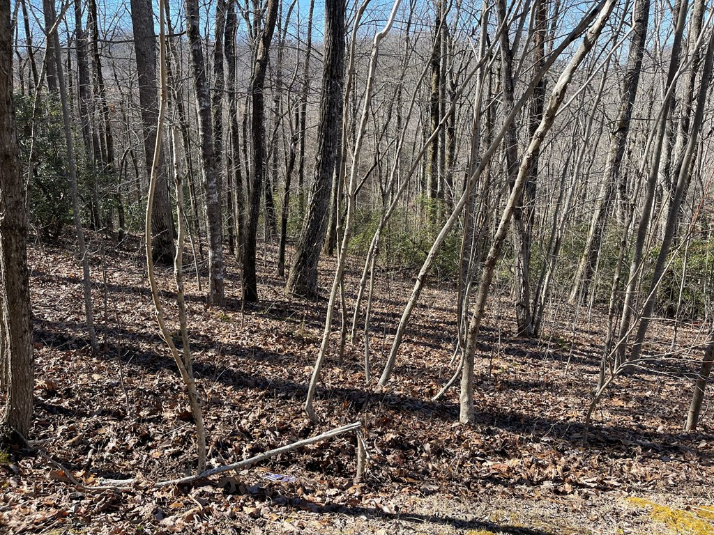 Lot 34 Ash Branch Road Hayesville, NC 28904 - Photo 5 of 6