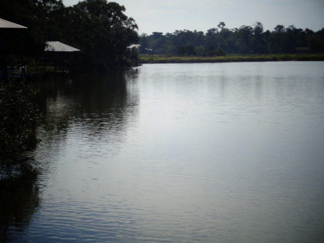 6674 Cook Road Foley, AL 36535 - Photo 38 of 45 Water View