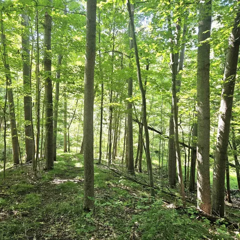 $139,900 | 0 East Dayton Road, Caro, MI 48723