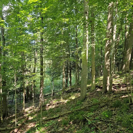 $127,500 | 0 East Dayton Road, Caro, MI 48723