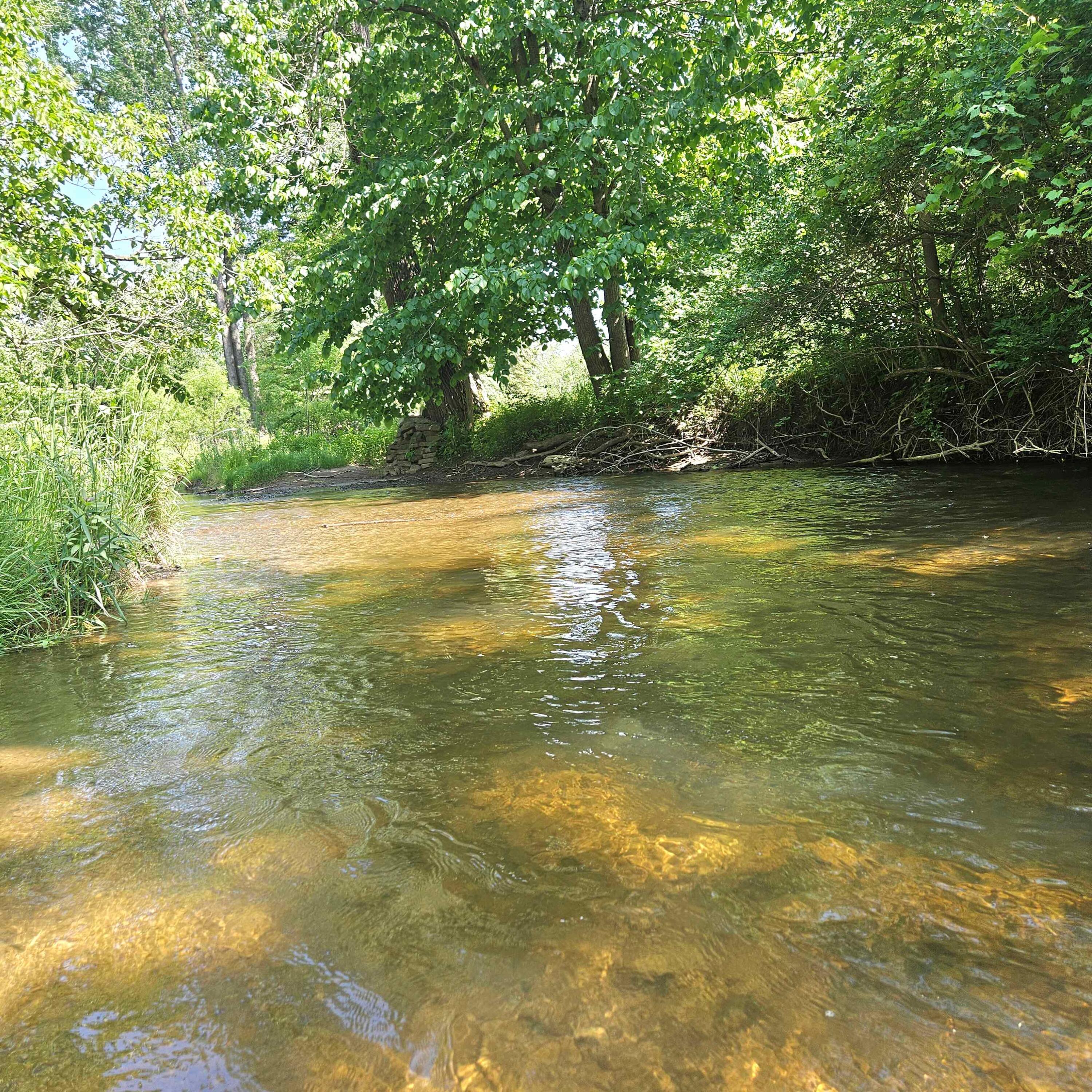 0 East Dayton Road Caro, MI 48723 - Photo 5 of 17 creek