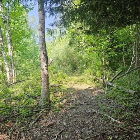 $127,500 | 0 East Dayton Road, Caro, MI 48723