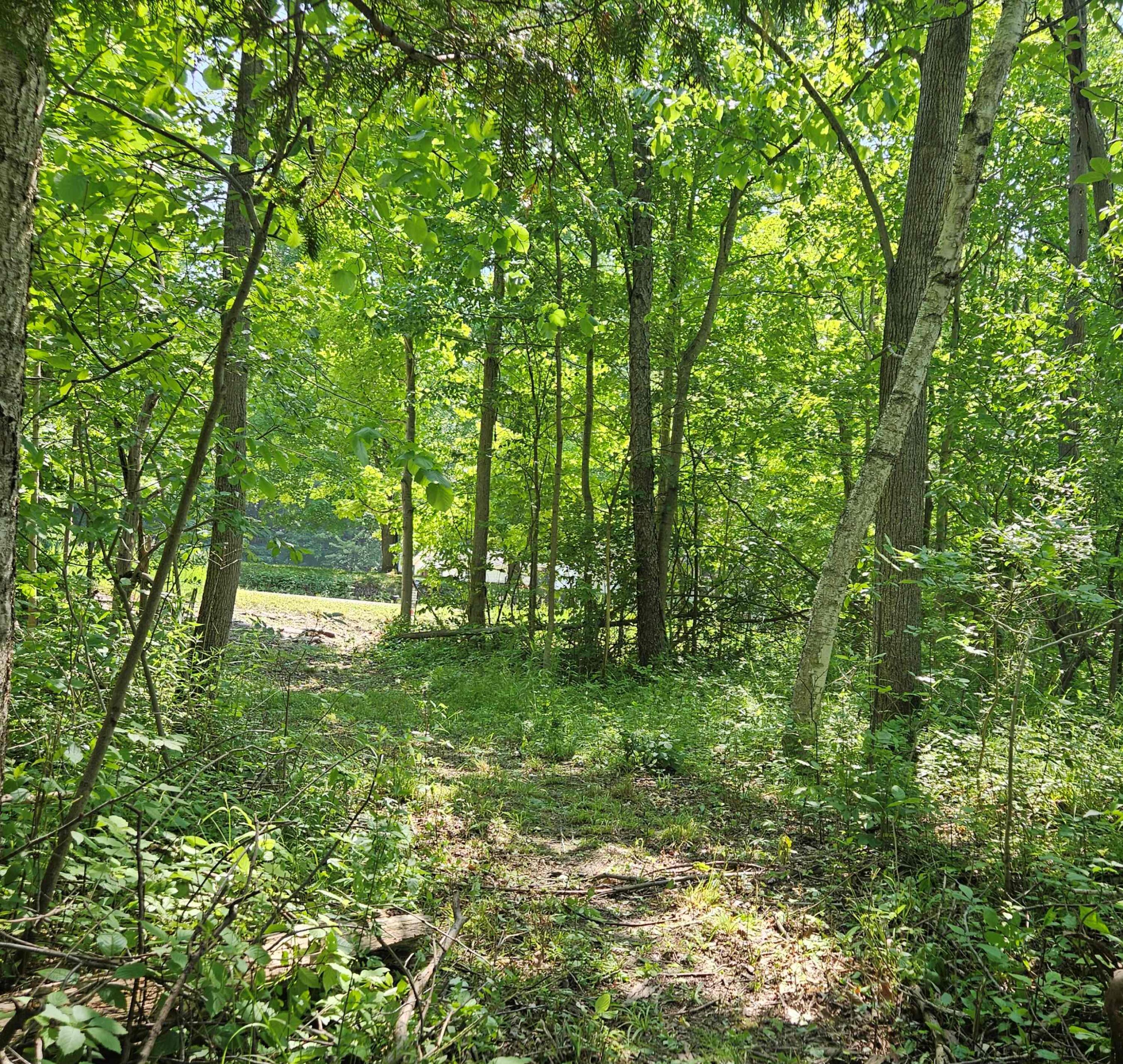 0 East Dayton Road Caro, MI 48723 - Photo 8 of 17 31