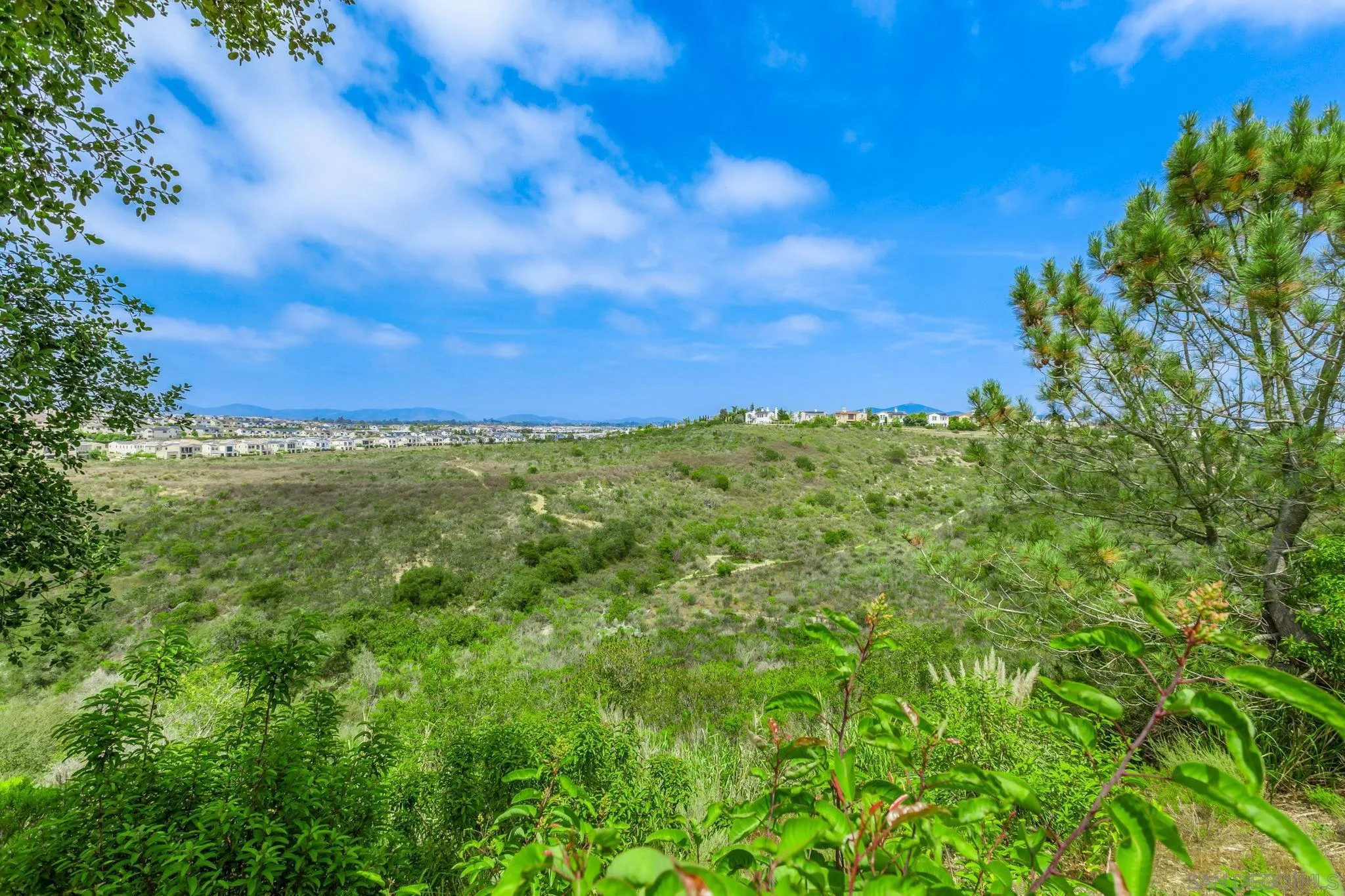 5582 Valerio Trail San Diego, CA 92130 - Photo 2 of 43 a view of a green field