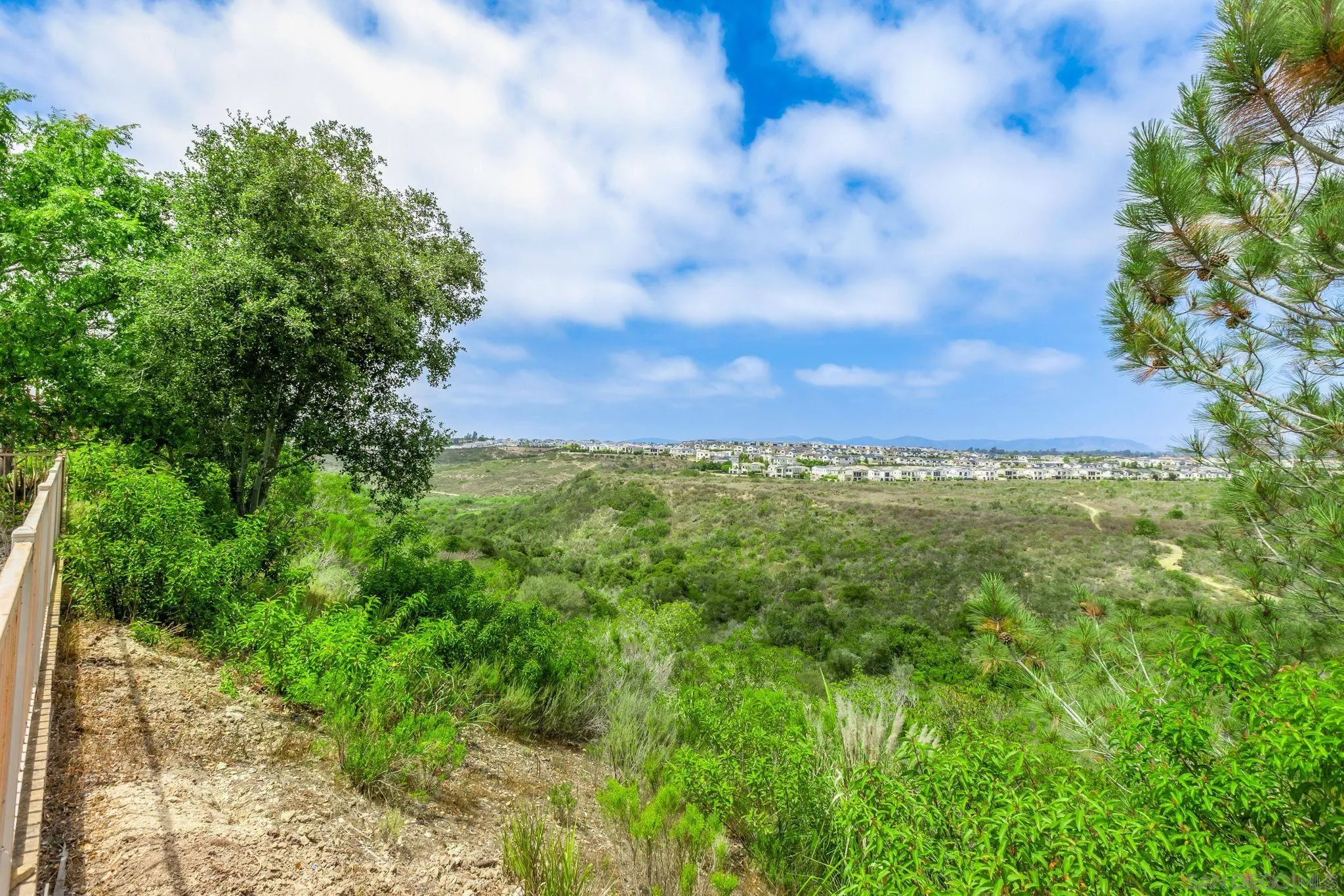 5582 Valerio Trail San Diego, CA 92130 - Photo 7 of 43 a view of a yard