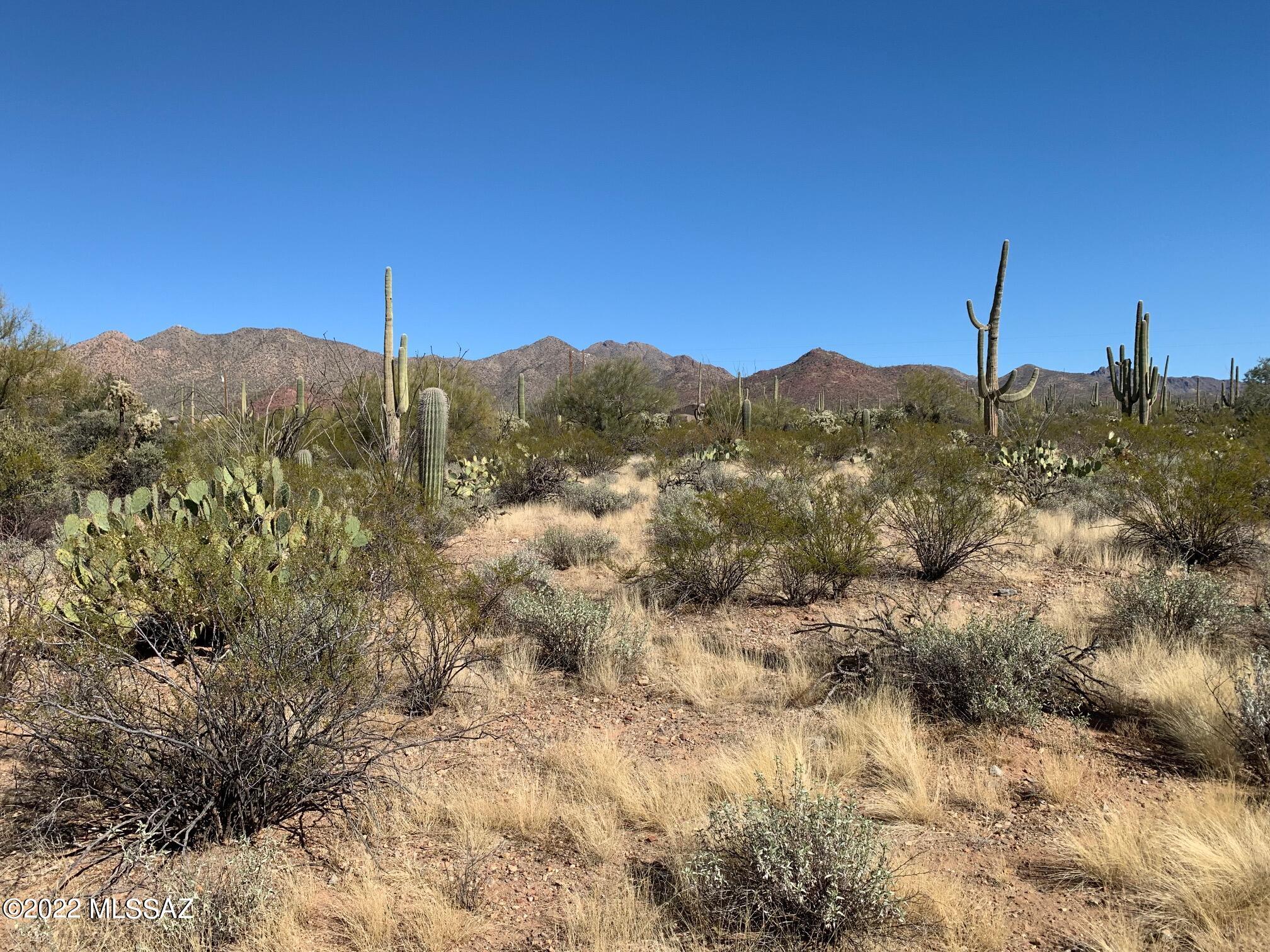 19-acres West Mile Wide Road, Unit B Tucson, AZ 85743 - Photo 7 of 19