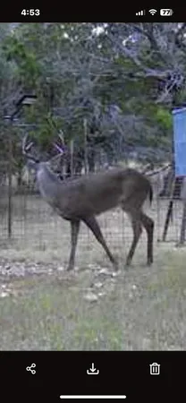 $650,000 | 180 Bee Hive Road, Hunt, TX 78024