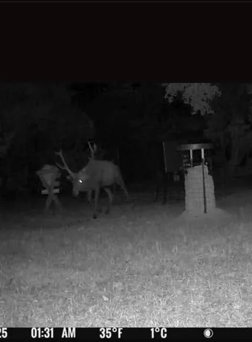 an aerial view of a house with a yard and lake view