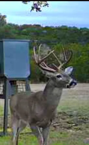 an aerial view of mountain with trees