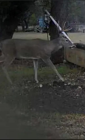 a front view of a building with street