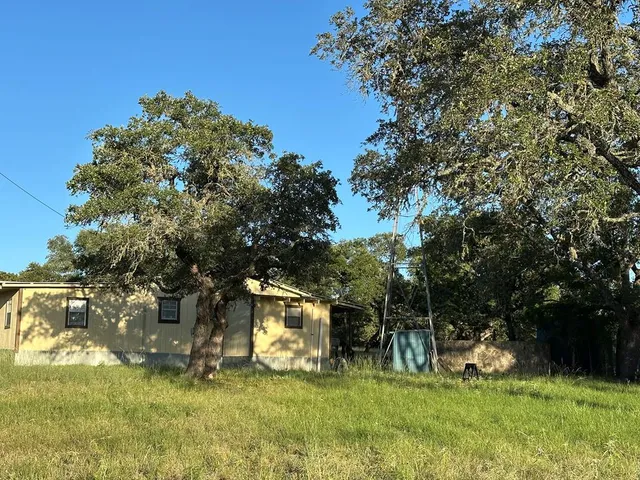 a view of a yard with a tree