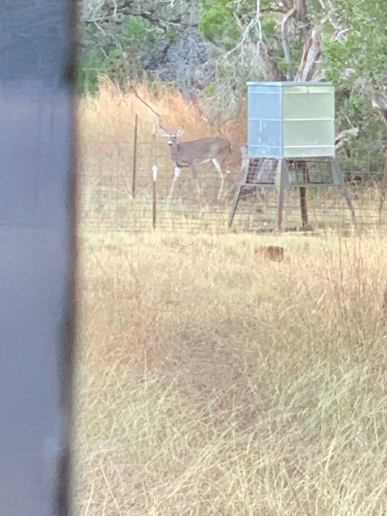 180 Bee Hive Road Hunt, TX 78024 - Photo 5 of 61