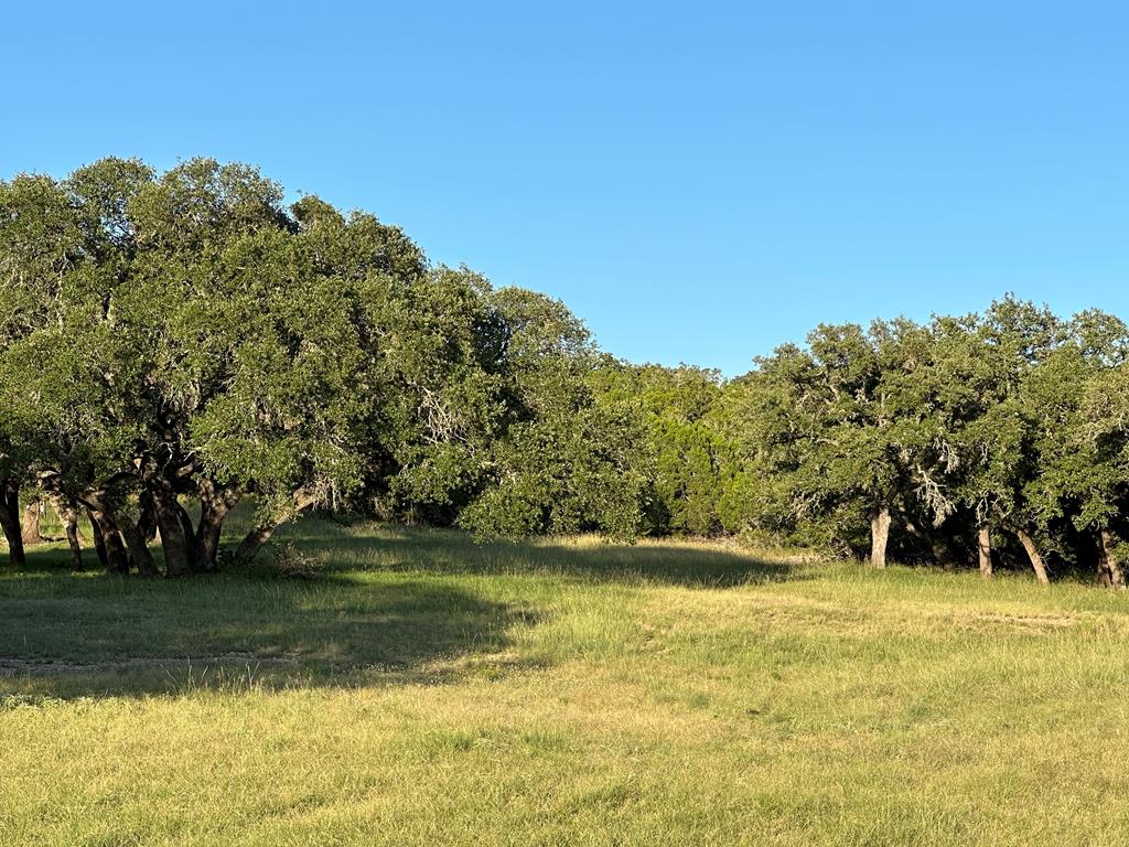 180 Bee Hive Road Hunt, TX 78024 - Photo 7 of 61 a view of a yard