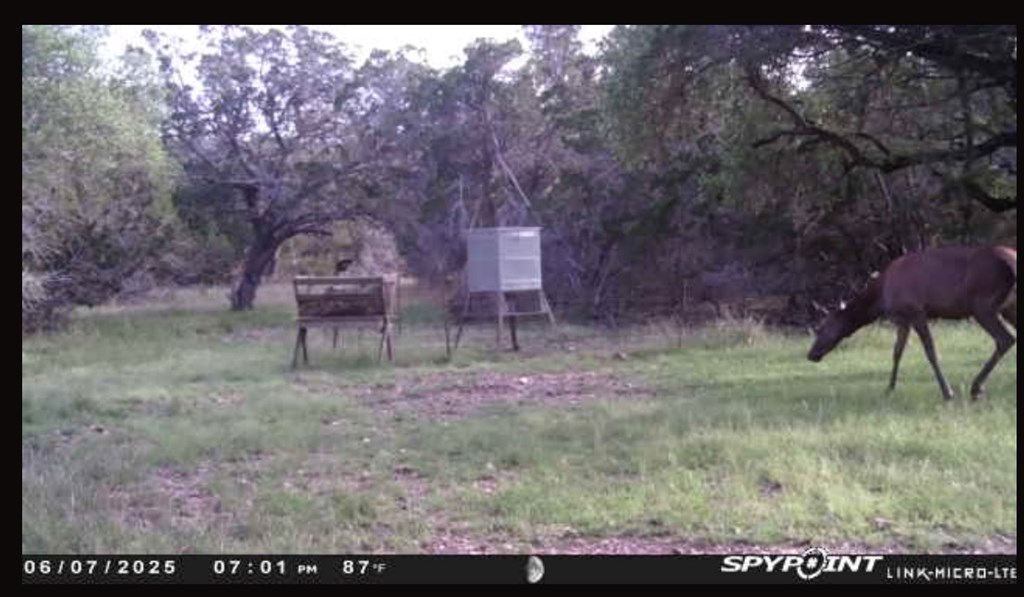 180 Bee Hive Road Hunt, TX 78024 - Photo 10 of 61