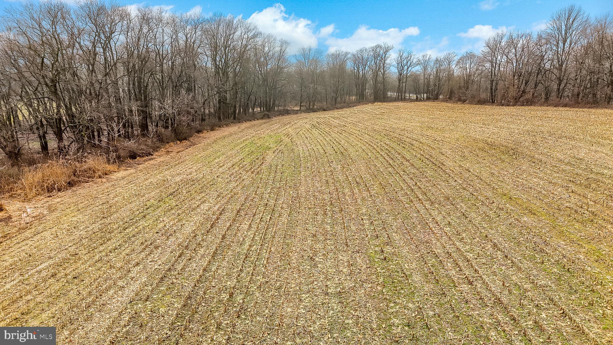 230 North Jennersville Road West Grove, PA 19390 - Photo 9 of 14