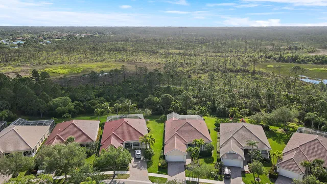 a view of a potted plant in a garden